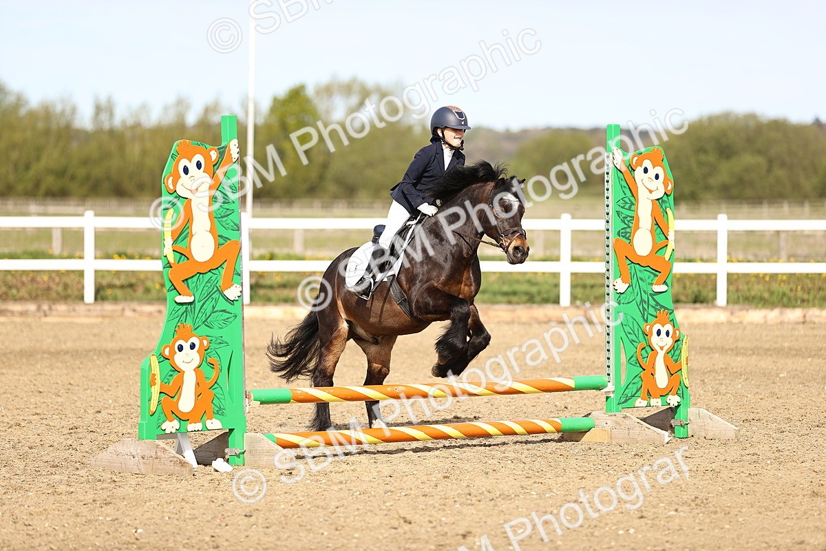 SBM_000075 - 50cm