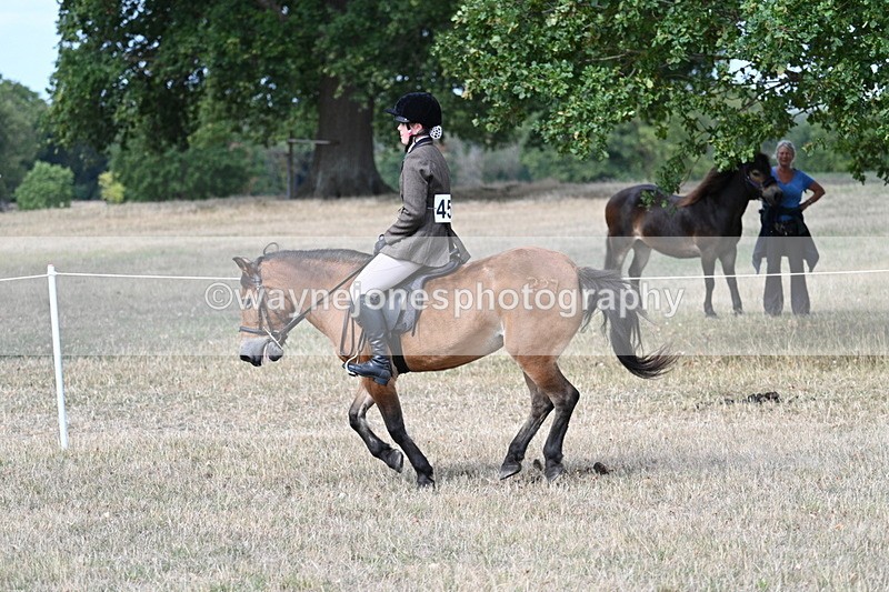 WJ7_6030 - Class 13 Ridden Veterans