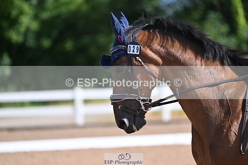 240706A-100518-00733 - Cls 2B Snr Prelim 13