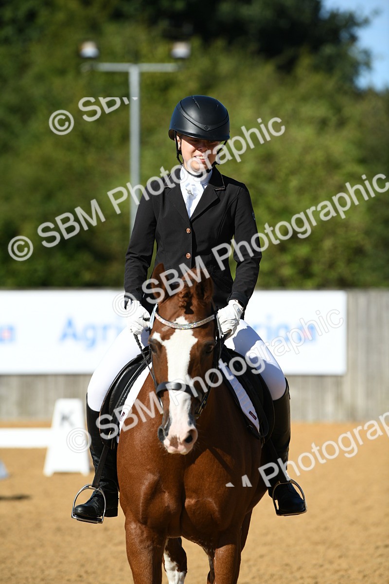 SBM_18007 - D4 - Small Tour Championship - Intro B