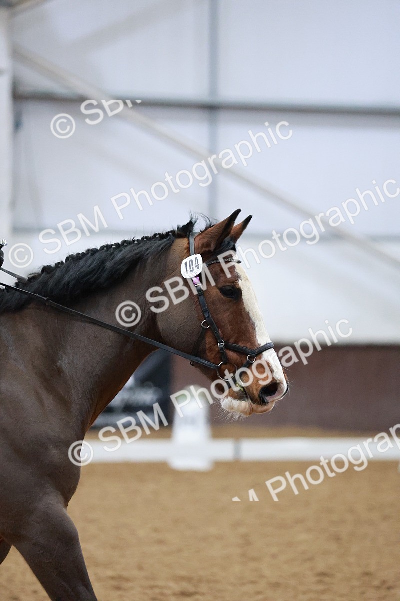 SBM_000216 - Class 17-6-18 - TQ U21 Novice 3Novice 3-MQ Open Prelim 1
