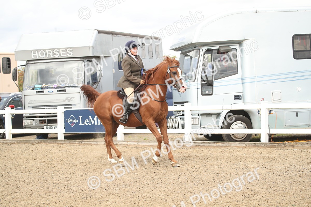 SBM_16581 - Class 506b - Working Veteran - 50cm (20+)