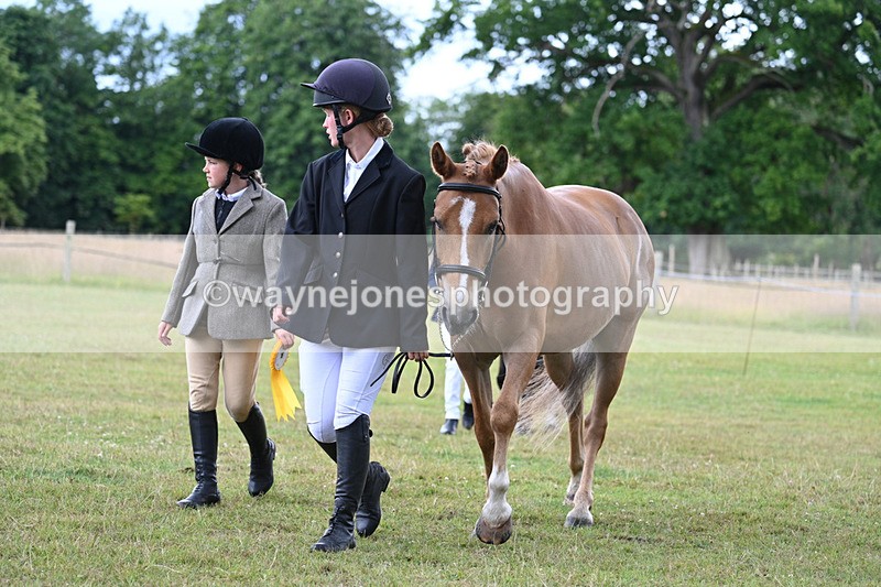 WJ7_7289 - Champs