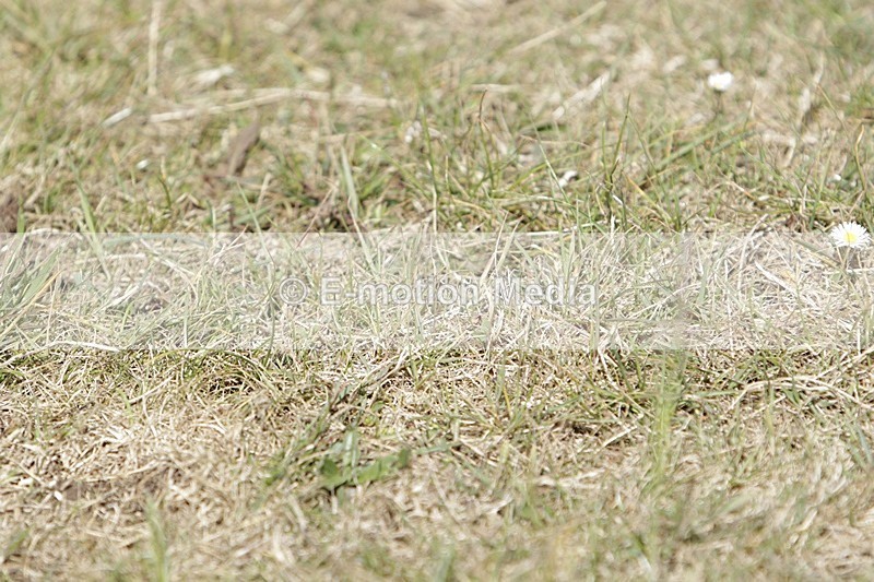 BVHT 140517 I-738 - Class 1 SJ Intermediate 14/05/17