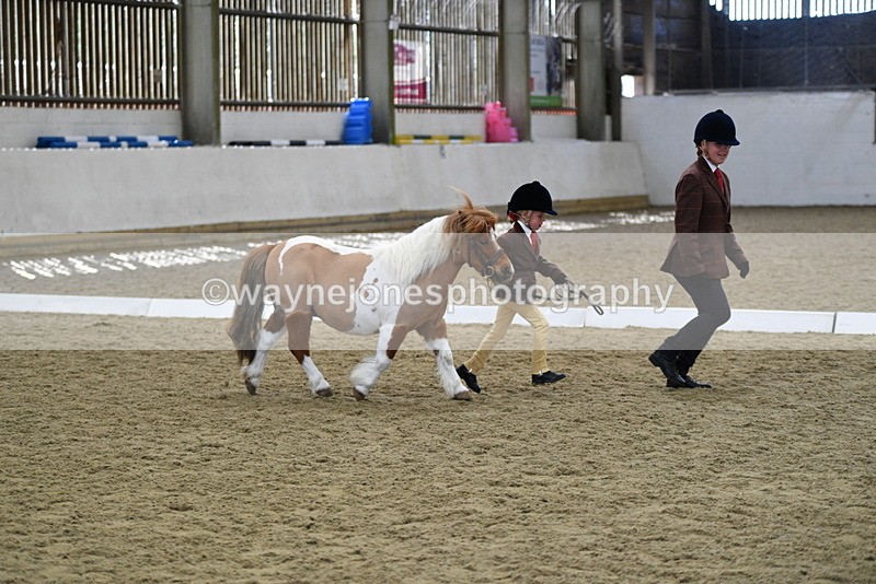 WJ5_4917 - Class 7 In hand coloured / odd coloured