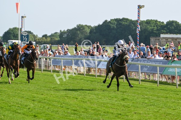 130625-Race 7-Dawn Of Liberation-0147 - Race 7 5.20pm Irish Thoroughbred Marketing Handicap