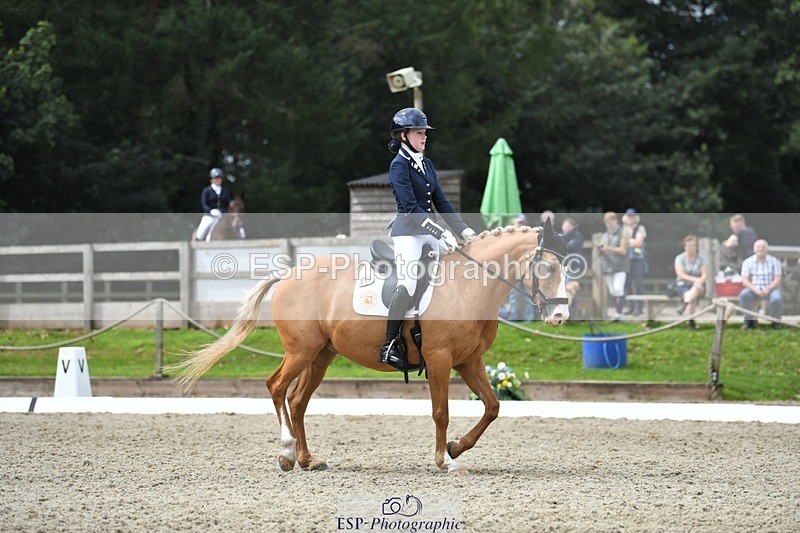 230812-123828-04161 - Cls 6 Novice Silver 12.10 to End