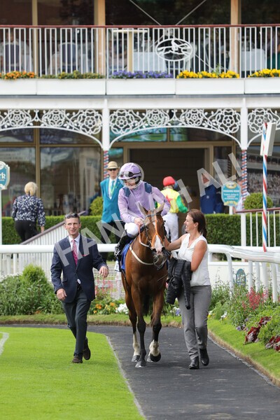 yr11062022r8-31 - Race 8 5.25pm Clean up with PPS Stakes