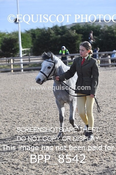 BPP_8542 - RING 2 - M&M