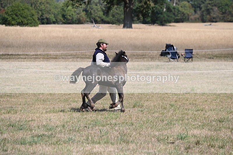 WJ6_5124 - Class 17 Mountain & Moorland