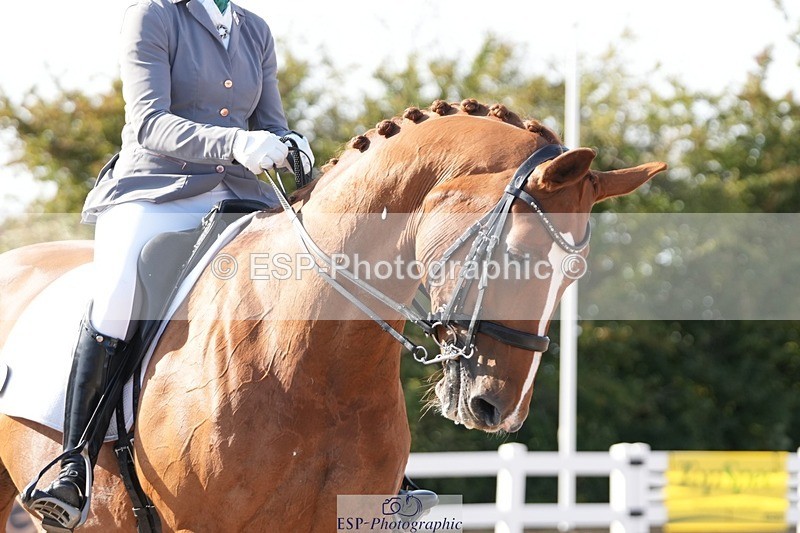 250906-161217-04974 - 051-Yvonne.MasonGF.Demellia