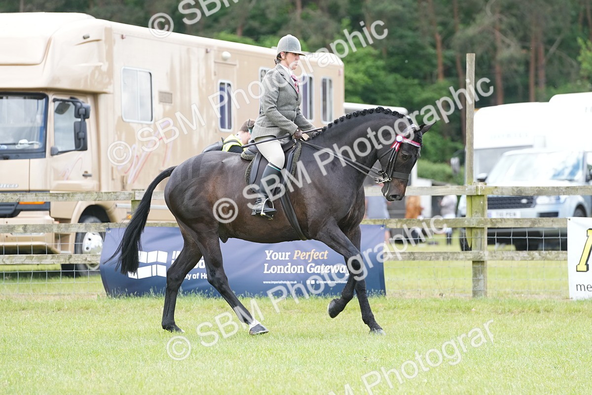 SBM_16170 - Class 105-106 - RIHS Riding Horses