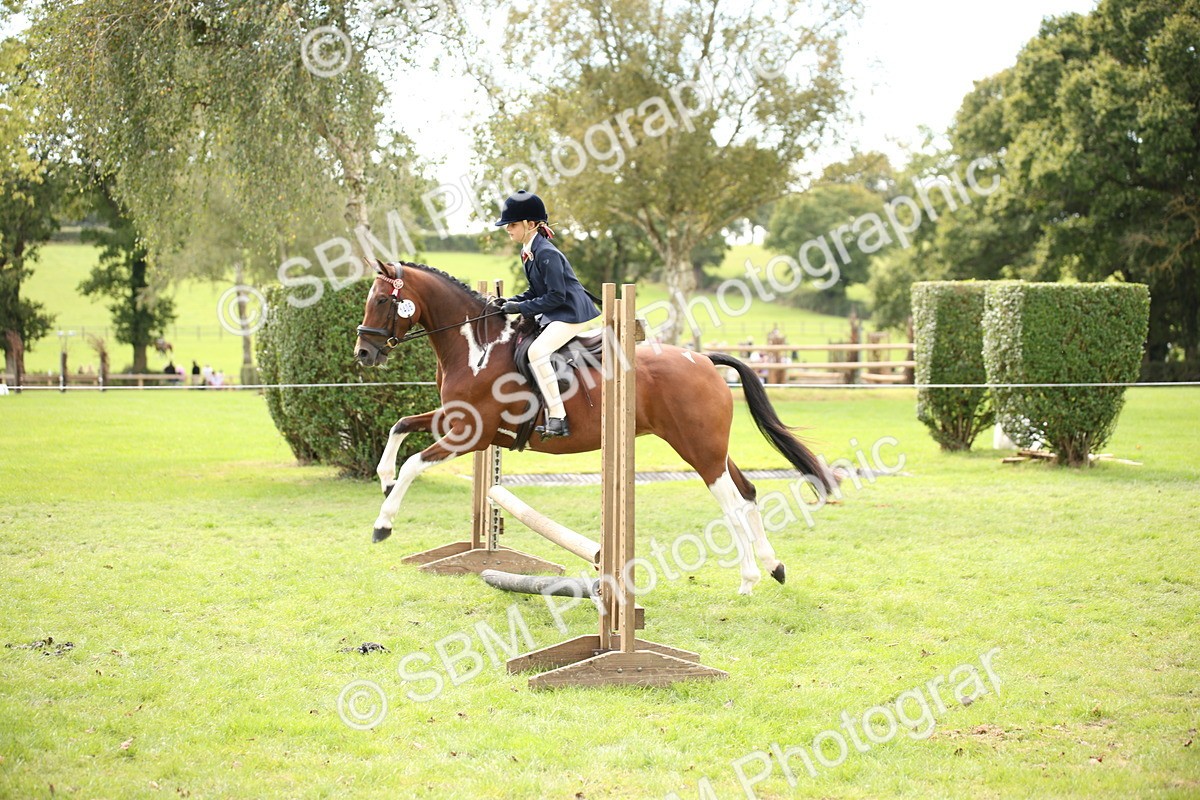 SBM_42318 - S13 - Pony Club Pony