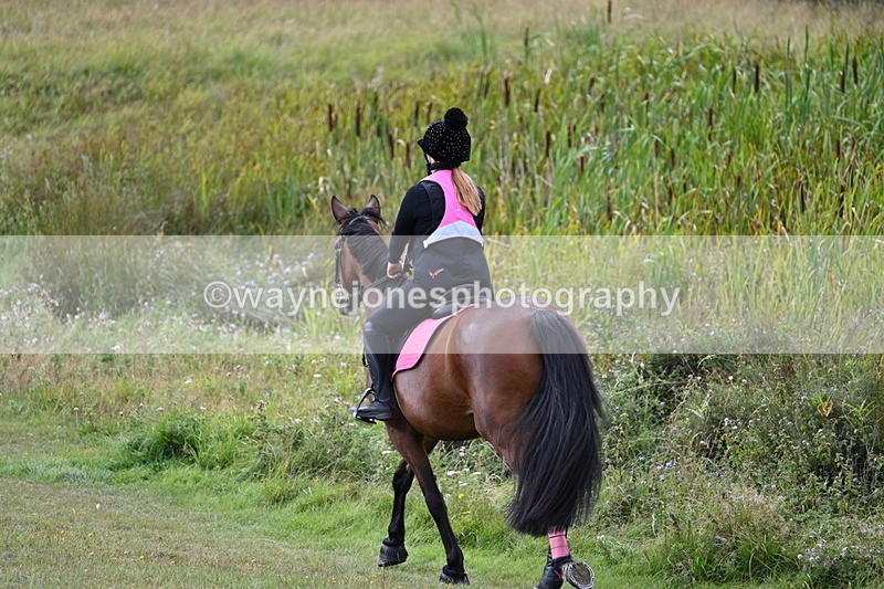 WJ7_6079 - Time 11:50 to 12:09