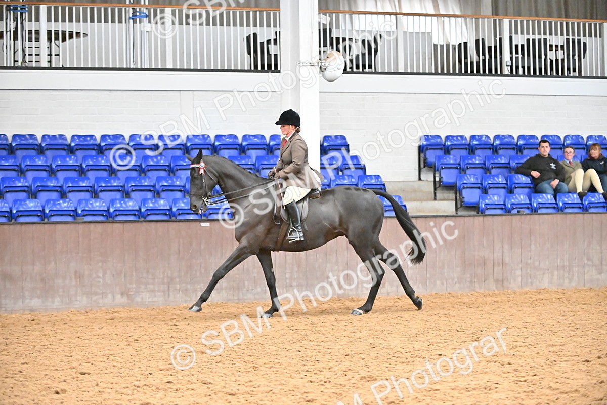 SBM_001938 - Class 25 - Tattersalls ROR Amateur Ridden