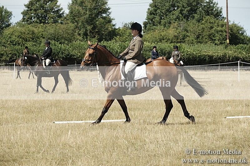 _PJP5839 - Dressage Classes BVRC Show 2018