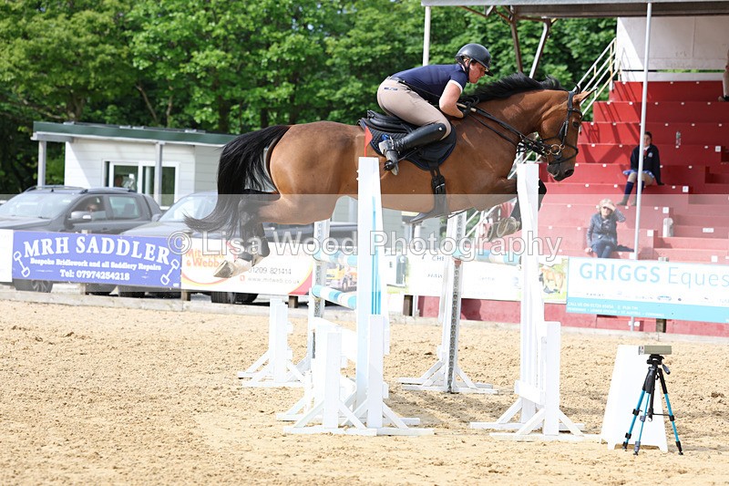 3E7A7732 - Class 8: Senior Foxhunter/1.20 open