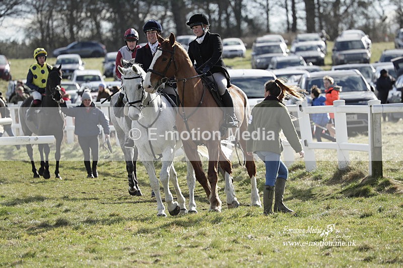 PtP 260223 788 - South & West Wilts Point-to-Point Larkhill 26/02/23