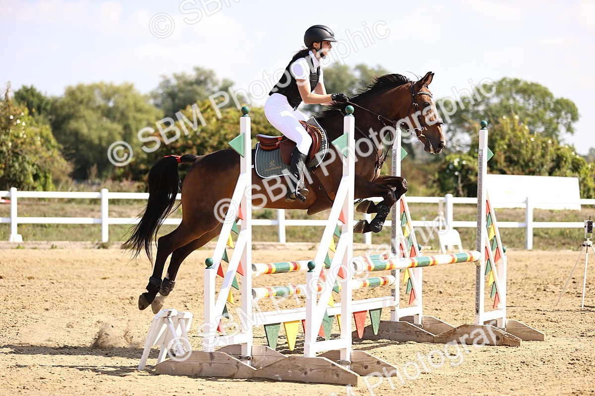 SBM_005946 - Class 9 - Senior British Novice - 90cm