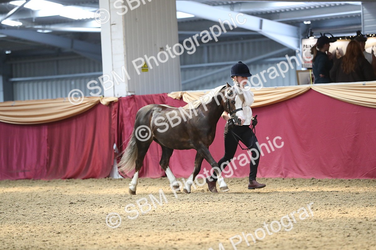 SBM_15138 - Class 501 M&M IH Supreme Final