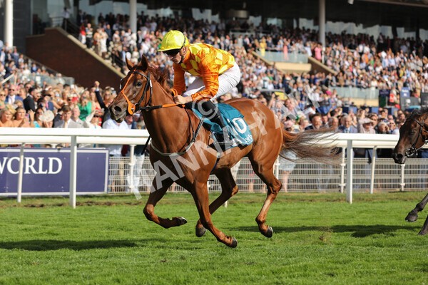 yr20082022r6-16 - Race 6 4.45 pm Julia Graves Roses Stakes