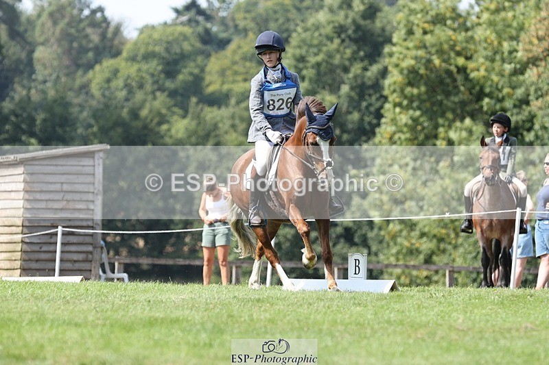 250823A-134339-31365 - Arena D