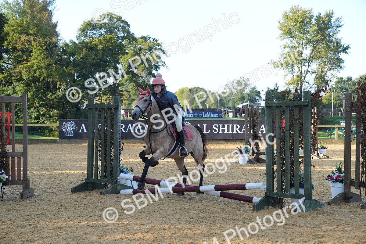 SBM_58990 - J63 - Minis Clear Round 30cm 40cm