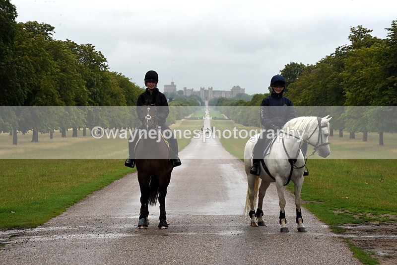 TT3_8187 - Time at Crossing 09:15 to 10:15