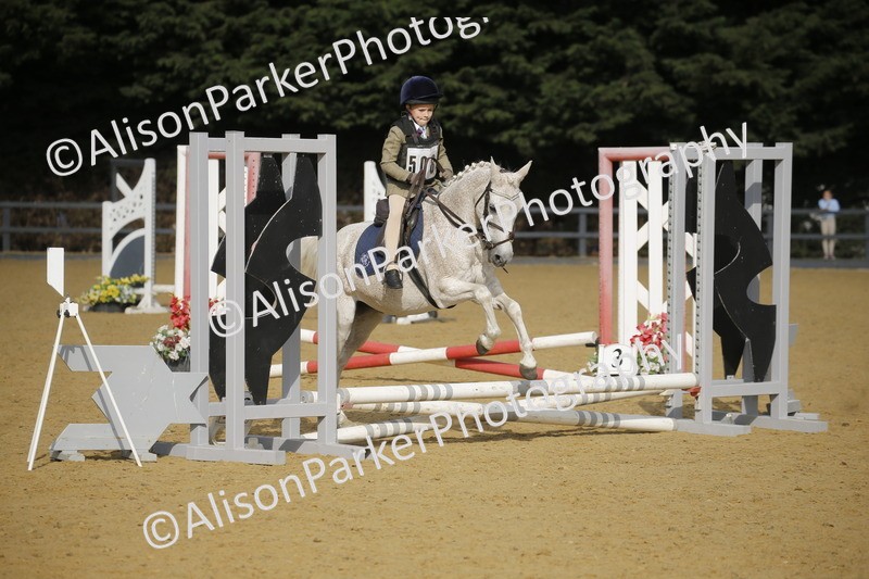 20250622-1233 - 40cm