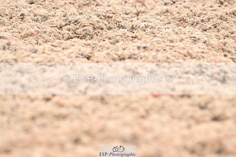 250705-175538-04466 - N2 Section BDNOV2 16.29 to 17.46