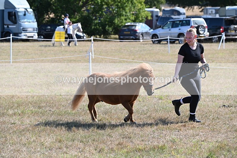 WJ6_7273 - Class 33 Rescue Pony