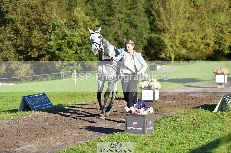 231022-100020-22174 - 451-THE.GREY.DANCER-Alice.Sandiford-TrotUp+SJ