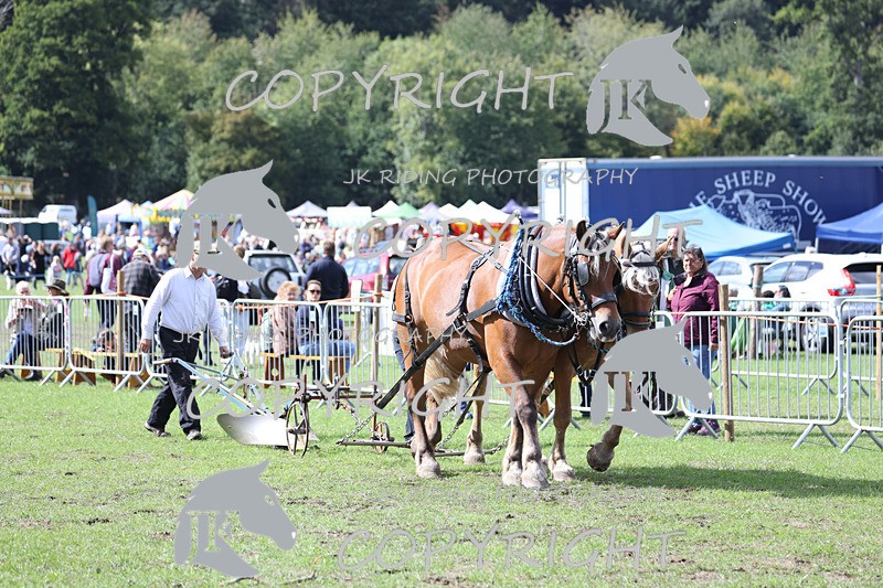 APP_3598 - Class 7 Turnout for a single or pair