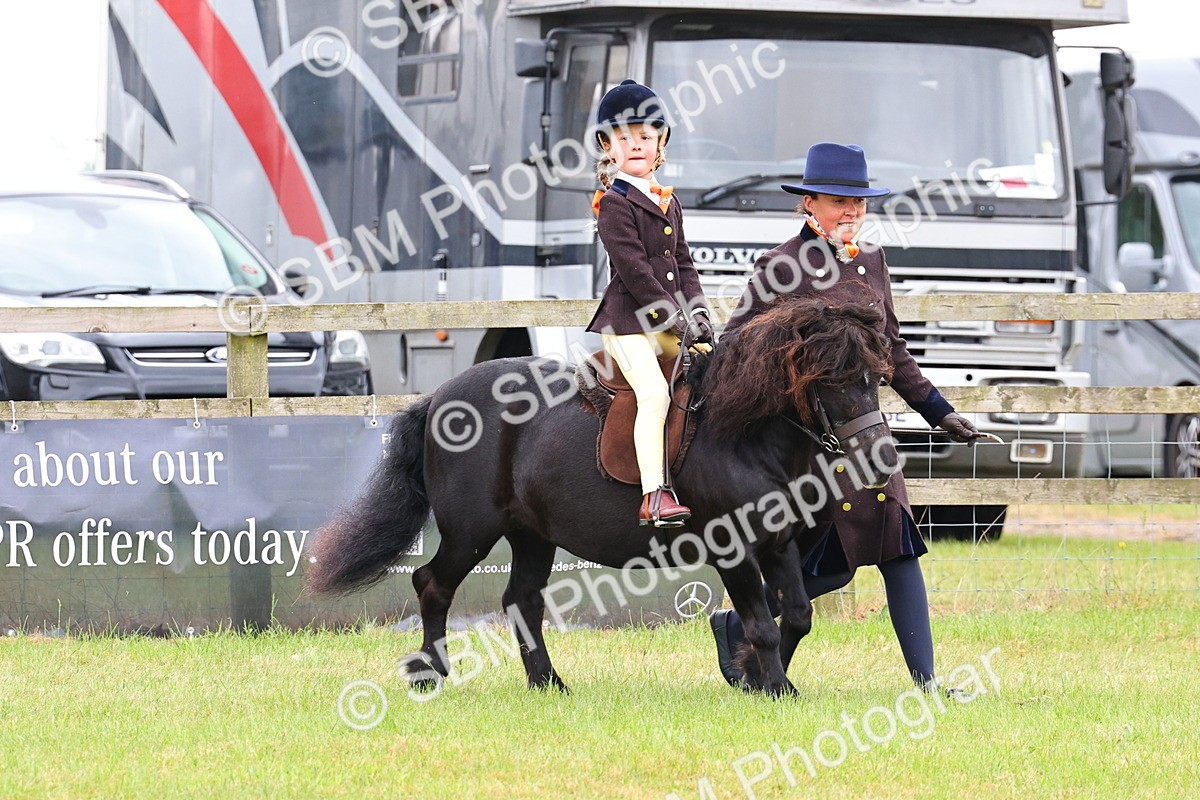 SBM_08150 - Class 42-43 - LIHS BSPS Heritage Working Sports Pony