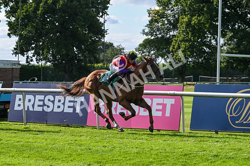 160824-Race 1-Thunder Wonder-8815 - Race 1