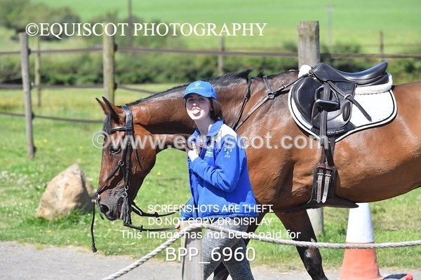BPP_6960 - CLASS 7 Senior Foxhunter/ 1.20m Open