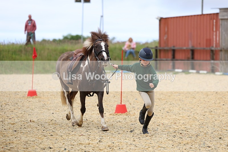 3E7A9582 - Walk trot run