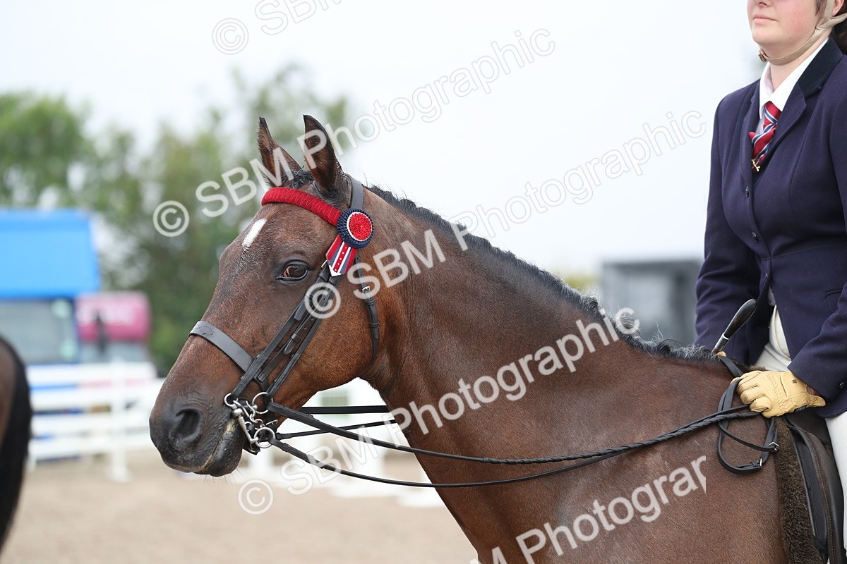 SBM_21614 - Class 602 - 2025 Area - Ridden Veteran