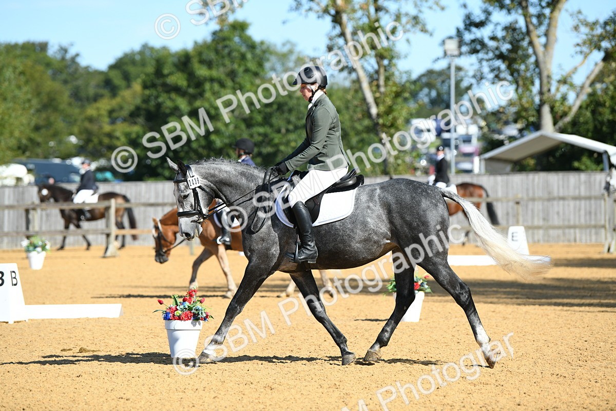 SBM_17946 - D4 - Small Tour Championship - Intro B