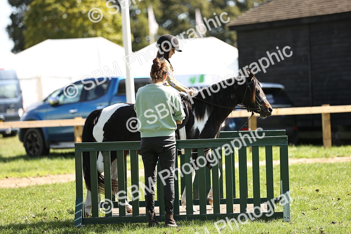 SBM_23016 - S4 - Have a Go at Working Equitation
