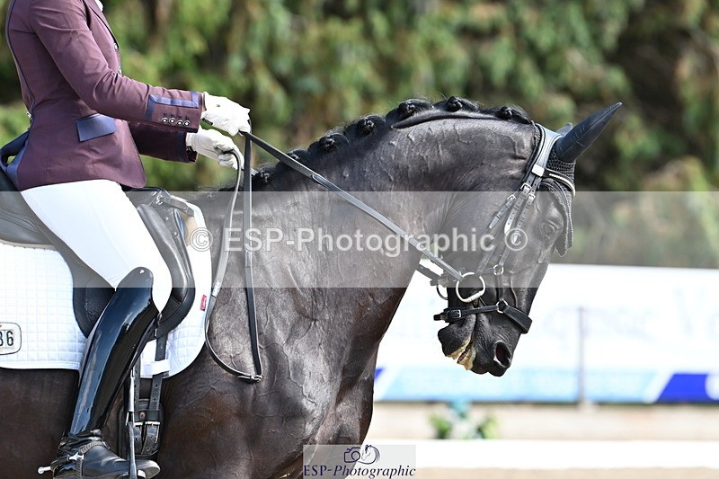 250808A-160359-01837 - 136-Lucy.AmyPromo.Vayden