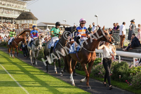 yr05092021r7-7 - Race 7 5.10pm Yorkshire Regiment Stakes
