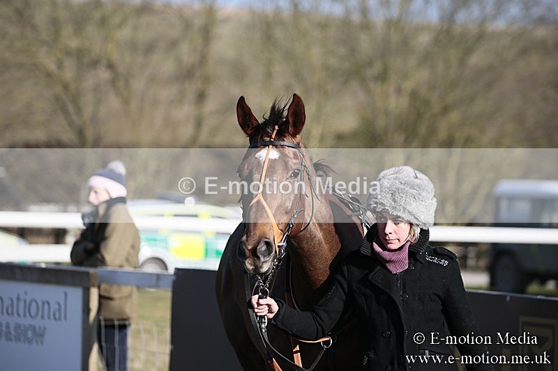 PtP 240218 561 - Vine & Craven Hunt Point-to-Point Barbury racecourse 24/02/18