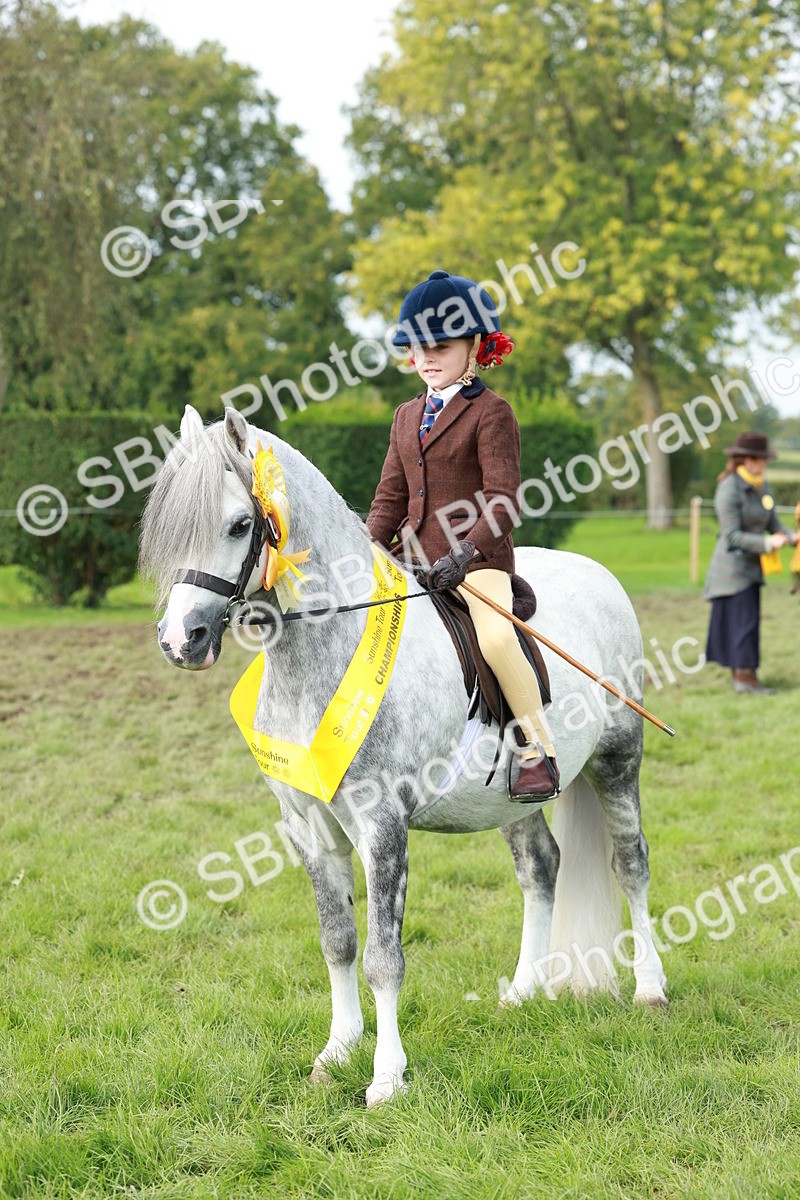 SBM_56460 - S39 - Starters In Hand Showing