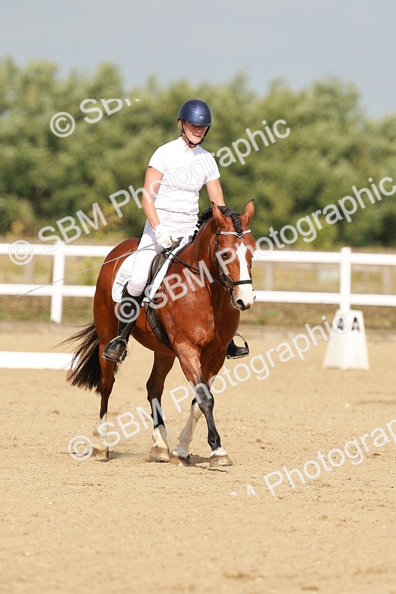 SBM_021331 - Class 13 - N5