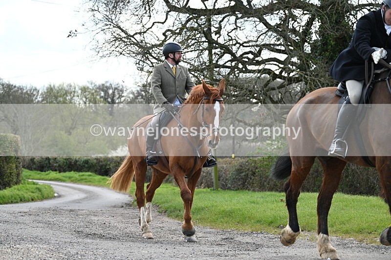 WJ7_9895 - Walk Home