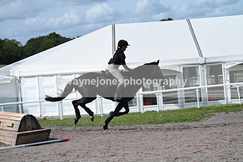 WJ7_2240 - Time 13:17 to 13:53