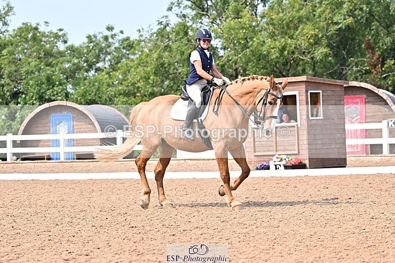 250816-142356-05345 - 147-Gill.AmosCoille.Mor.Pearl