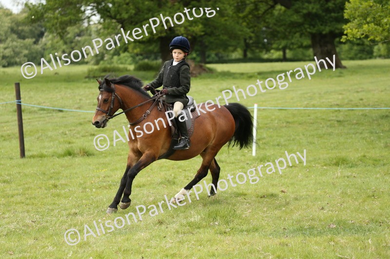20250517-1207 - Class 21 - Novice Working Hunter