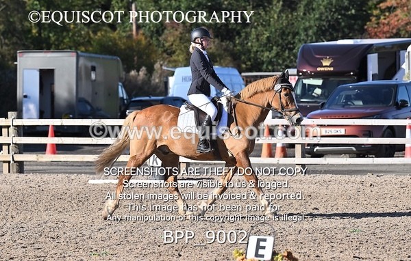 BPP_9002 - SHORT ARENA